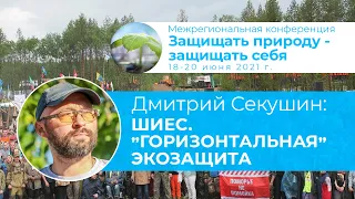 Дмитрий Секушин - Шиес: опыт общественной кампании без лидерства