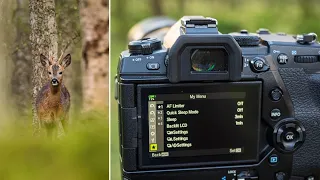 OM System EM1X Settings | 5 Tips for Wildlife Photography Olympus