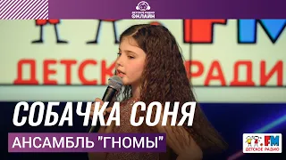 Ансамбль "Гномы" - Собачка Соня (LIVE на Детском радио)