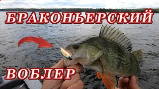 Это ПРОСТО БРАКОНЬЕРСКИЙ ВОБЛЕР!!! Другие Приманки молчат а он КОСИТ ОКУНЯ!