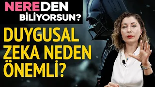 Duygusal Zeka Neden Önemli? | Nereden Biliyorsun? - B08