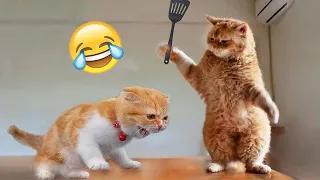 Funniest Cats and Dogs 2024 😹🐶 New Funny Animals Video 😍 Part 44