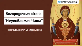 Богородичная икона "Неупиваемая Чаша" - почитание и молитва