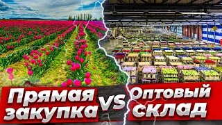 Прямые поставки или Оптовый склад? | БЛОГ ЦВЕТОЧНИКА. Бизнес с нуля. Идеи 2020