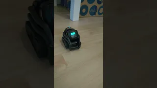 vector robot using GPT-3 through Wire-pod