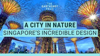 Why all cities should be designed like Singapore | The Earthshot Prize