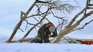 УХ! ПРОБУРИЛ ЛУНКУ ПОД ОГРОМНОЙ КОРЯГОЙ. Рыбалка на Нижней Волге