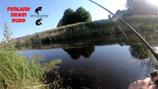 Coarse fishing UK: Fenland drain Rudd with underwater footage