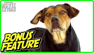 A DOG'S WAY HOME | Shelby's Way Home Featurette