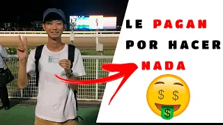 EMPRENDIMIENTO EXITOSO!  El Japones que le pagan por hacer NADA 🤷‍♂️