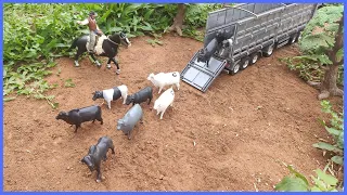 Fazenda de brinquedo CHEGOU NOVAS NOVILHAS NA FAZENDINHA