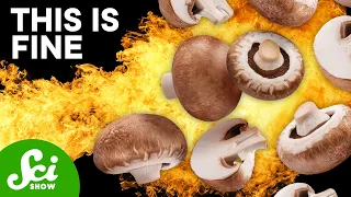 It's Basically Impossible To Overcook Mushrooms