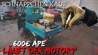 Nach 4 Jahren Garten... Piaggio APE 50, ERSTE Lebenszeichen!