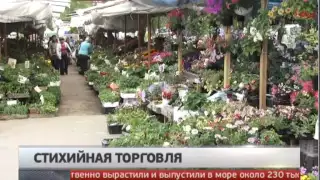 Борьба со стихийными рынками в Хабаровске.  Новости. Gubernia TV