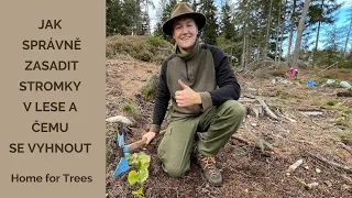 Jak správně zasadit stromek - Home for Trees
