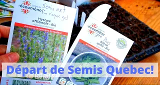 Calendrier de semis et Zone de rusticité pour les débutant Québec