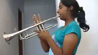 My heart will go on - trumpet cover.