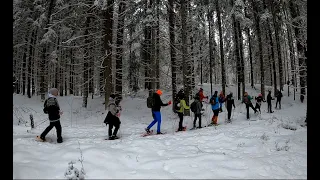 Tiirlan lumikenkäretki Lahdessa pesäkalliolla