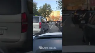 Автохам на встречке