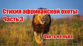 Стихия африканской охоты | Часть 3