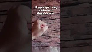 Hogyan nyerd meg a következő ökölvívásodat.🤣