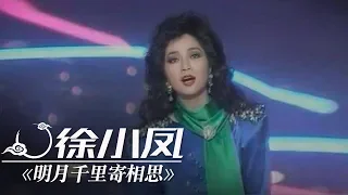 徐小凤《明月千里寄相思》（1小时循环纯享版） | CCTV春晚