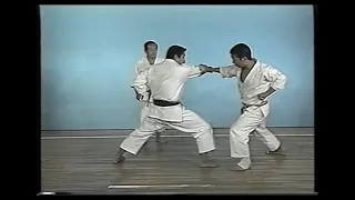 Bassai Dai (Kata & Bunkai)