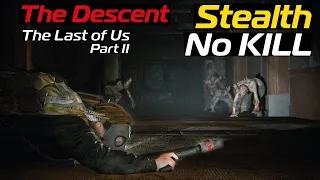 The Last of Us 2 - Abby - The Descent [Survivor Stealth + No KiLL]