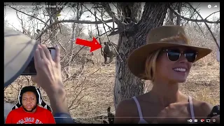 JayrockReacts to 12 Animal encounters that will freak you out