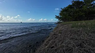 Wind Carved Shore ~ 4K