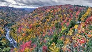 West Virginia Autumn Foliage 2023