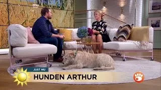 Mötet med hunden Arthur förändrade hans liv - Nyhetsmorgon (TV4)