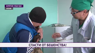 Спасти от бешенства!