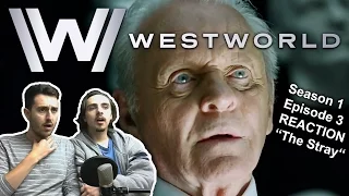 Westworld Season 1 Episode 3 REACTION "The Stray"