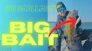 Best Smallmouth Bass Fishery in the World?