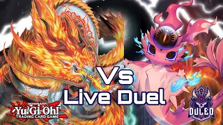 Yu-Gi-Oh!! Tenpai Dragon Vs Snake-eye Live Duel Sun Valley Gaming Legacy Of Destruction Premiere!!