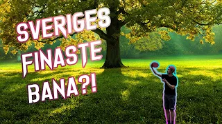 PARGOLF PÅ YMER!   |   YMERGÅRDENS DGC