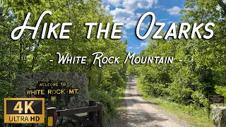 Virtual Hike with Relaxing Forest Sounds | Silent Hike the Ozarks in Spring [4K]