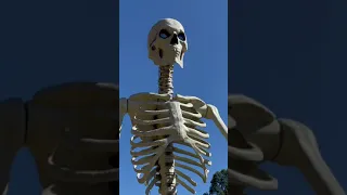 Over 12 foot tall skeleton at the corn maze