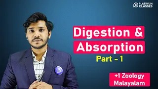 Digestion and Absorption  - Part 1 | Malayalam | NEET BIOLOGY | Class 11 Zoology  | Dr. Banish