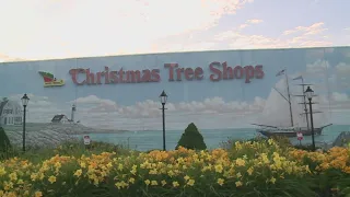 Report: Christmas Tree Shops are all on the verge of closing