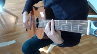 Sons of Skyrim - The Elder Scrolls V: Skyrim on Guitar