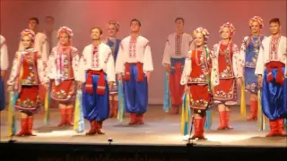 Вітальний, Гопак  Confolens 2016