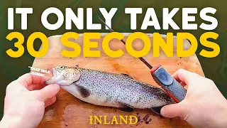 Our Favorite Way to Fillet a Trout (30 Seconds) | Kyle Veit | Inland Outdoors #trout #fillet