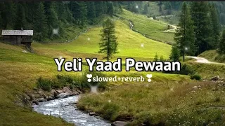 Yeli Yaad Pewaan ~ (slowed+reverb)