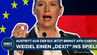 ALICE WEIDEL: "Modell für Deutschland"! Austritt aus der EU - AfD-Chefin bringt "Dexit" ins Spiel!