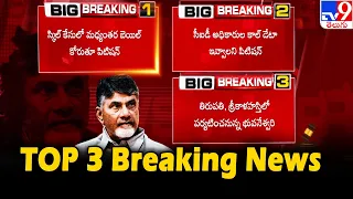 Top 3 Breakings : Chandrababu Naidu's Case Updates - TV9