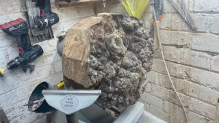 Woodturning a Stunning Elm Burl Bowl: Woodworking Masterpiece!