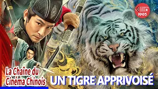 Étrange meurtre, le meurtrier est un tigre ?【Le cas de Lord Dee : un tigre apprivoisé】#kungfu #film