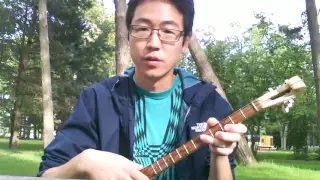Apareka (song tutorial) - აპარეკა